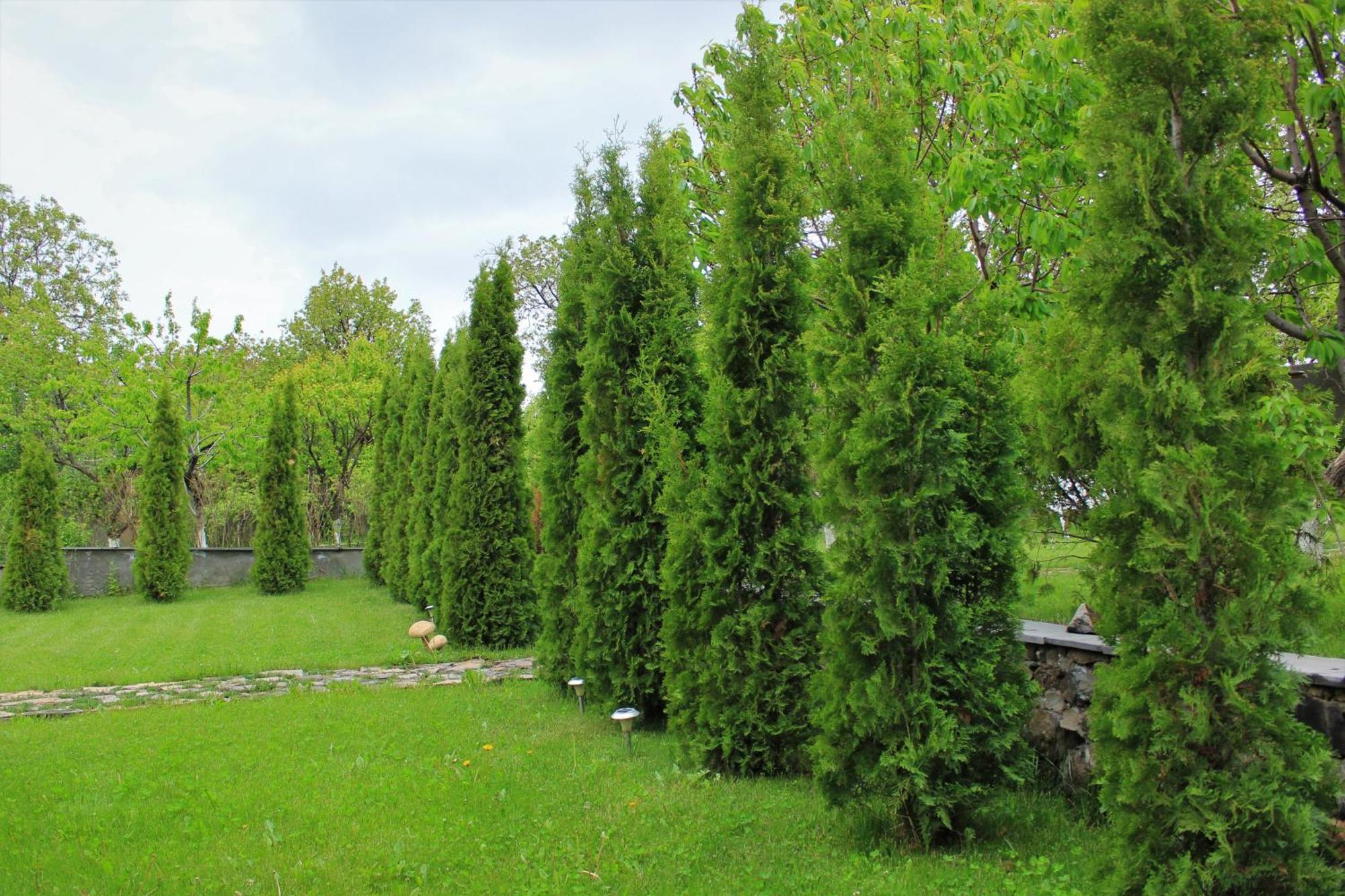 Aya Maria Wellness Spa Resort Dzoraghp'yur Exterior photo